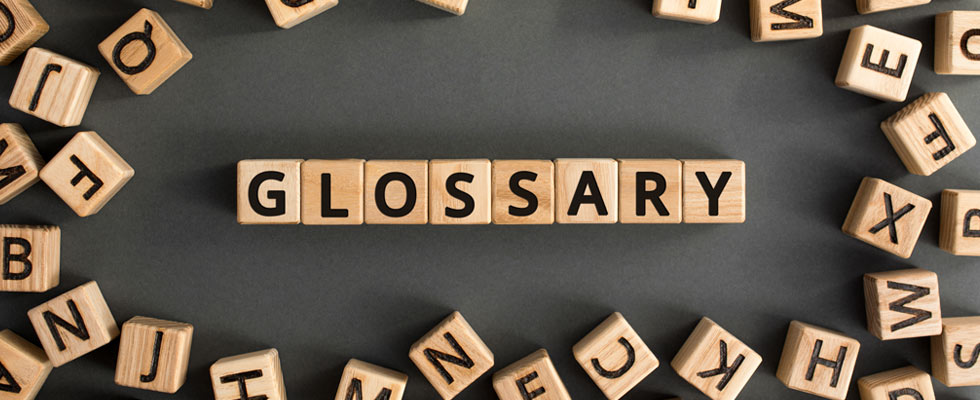 Glossary of terms related to learning in organizations: